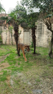 DSC_0022.jpg